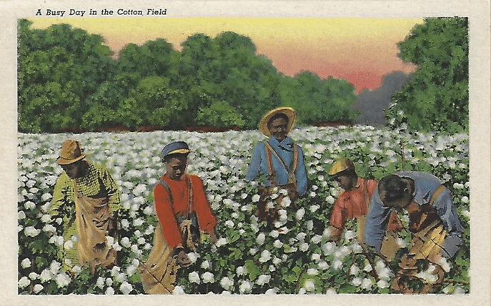 Postcard Booklet, Workers in the Cotton Fields, Usa, 1937